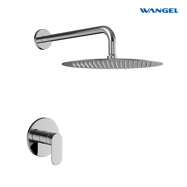 High quality Chrome Plated Wall-Mounted Installation Shower