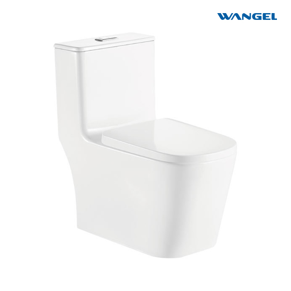 Bathroom Floor Mounted Ceramic Siphonic Water Closet Toilets Modern One Piece Toilet