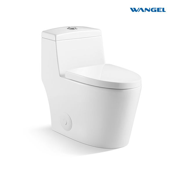 Modern Ceramic One-Piece Dual-Flush Toilet 300 mm Siphonic S-Trap Sanitary Ware for Home Bathroom WC