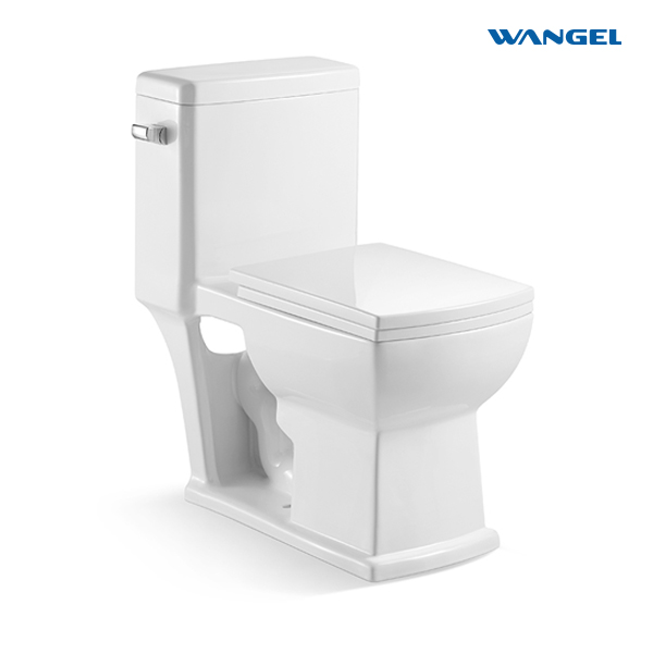White Color One Piece Sanitary Ware Bathroom Water Closet One Piece Ceramic Wc Toilet Set S-trap Toilet Bowl