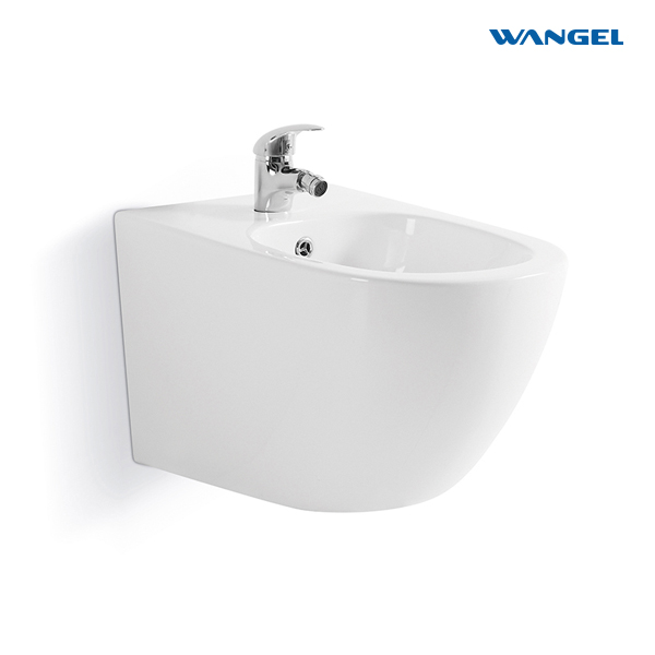 Luxury Ceramic Bidet Toilet Modern Design Style Water Type