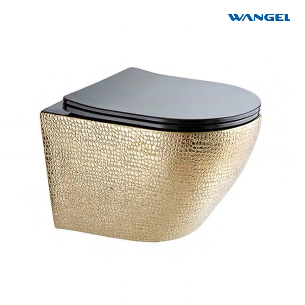 Bathroom wall-mounted ceramic toilet with hidden water tank